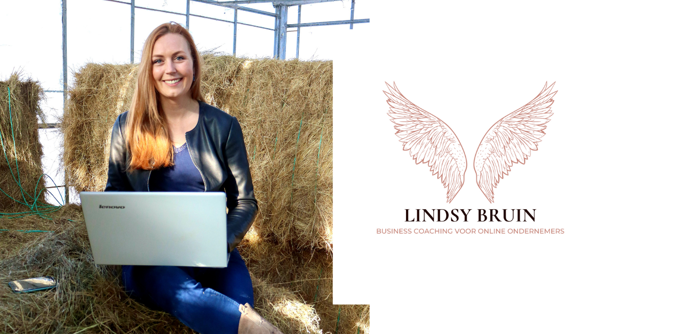 Lindsy Bruin online ondernemen SUCCESVOL ONLINE ONDERNEMEN