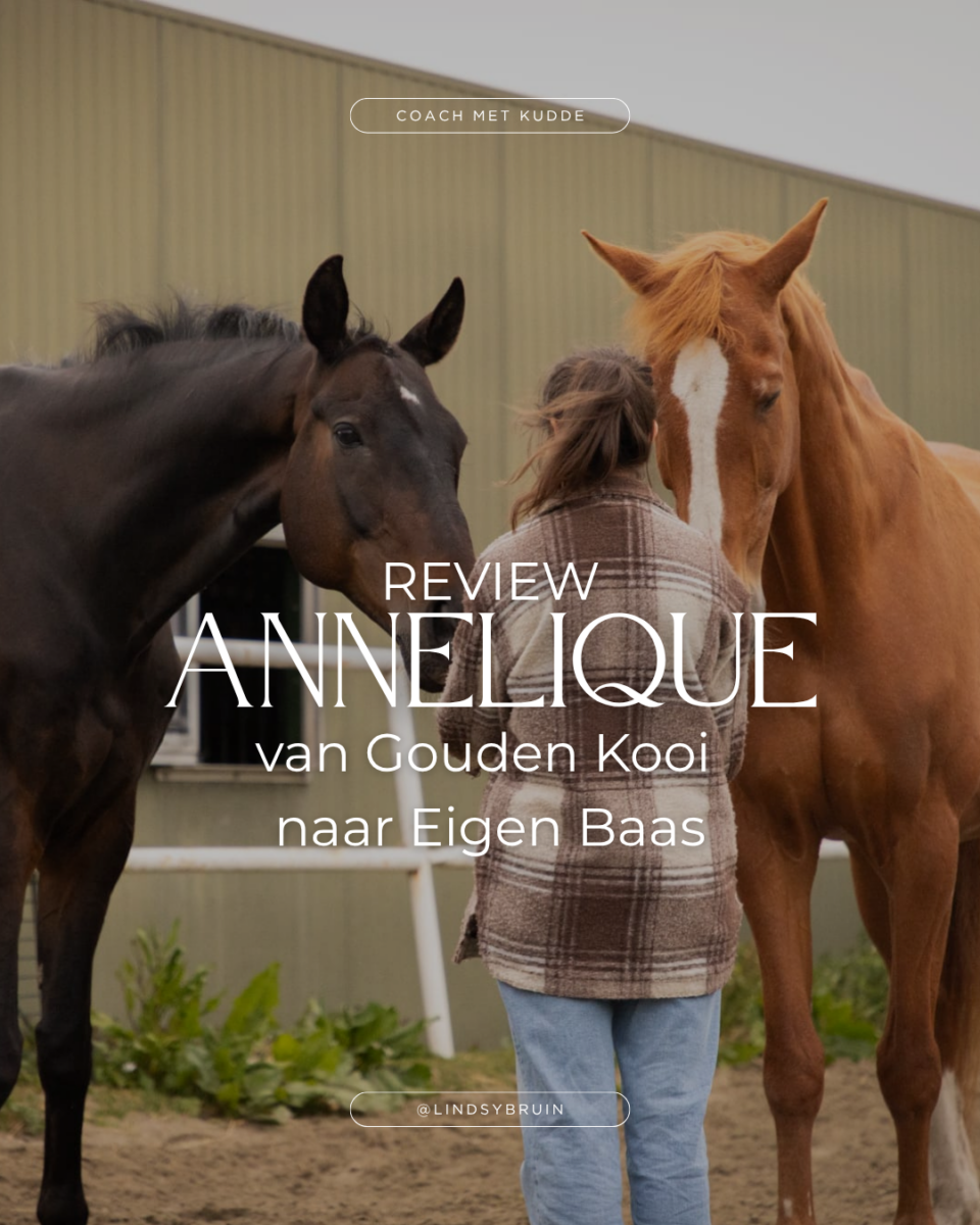 review van gouden kooi naar eigen baas overspannen begeleiding paarden