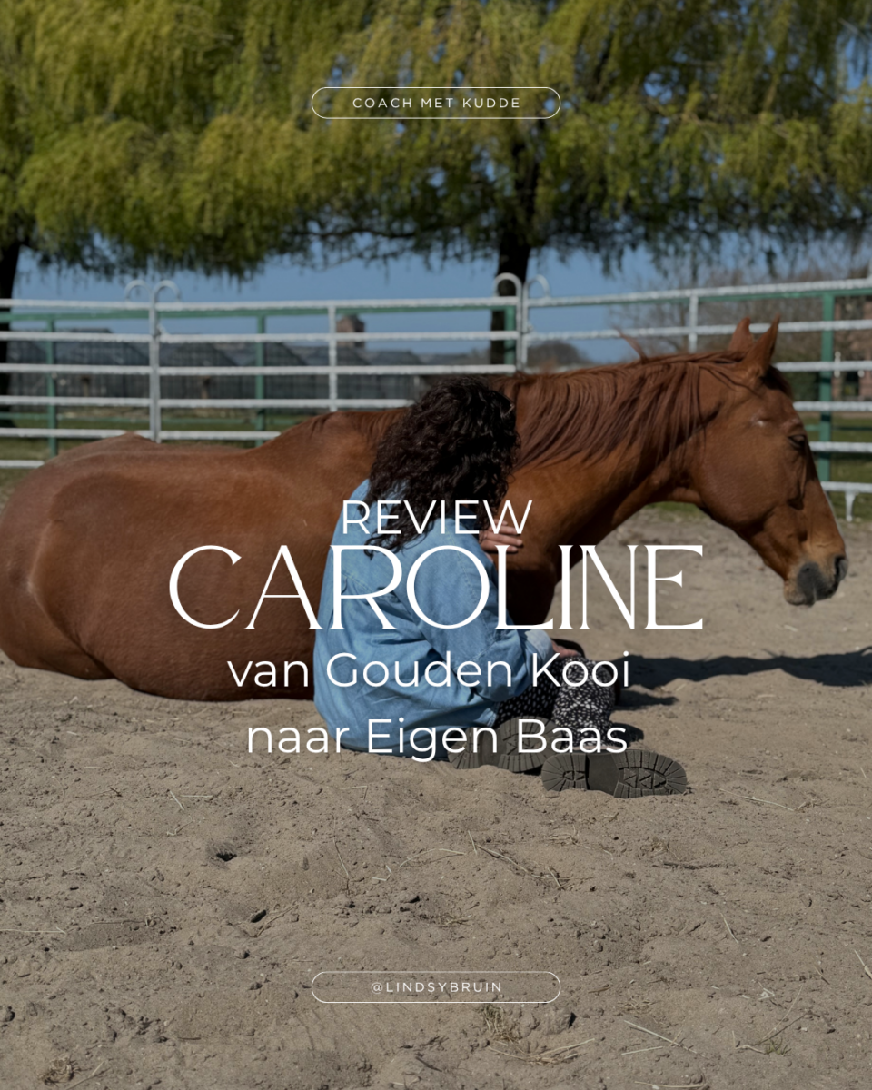 review van gouden kooi naar eigen baas werkgeluk paardencoaching
