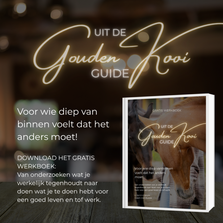 download gratis werkboek ondernemer werkgeluk