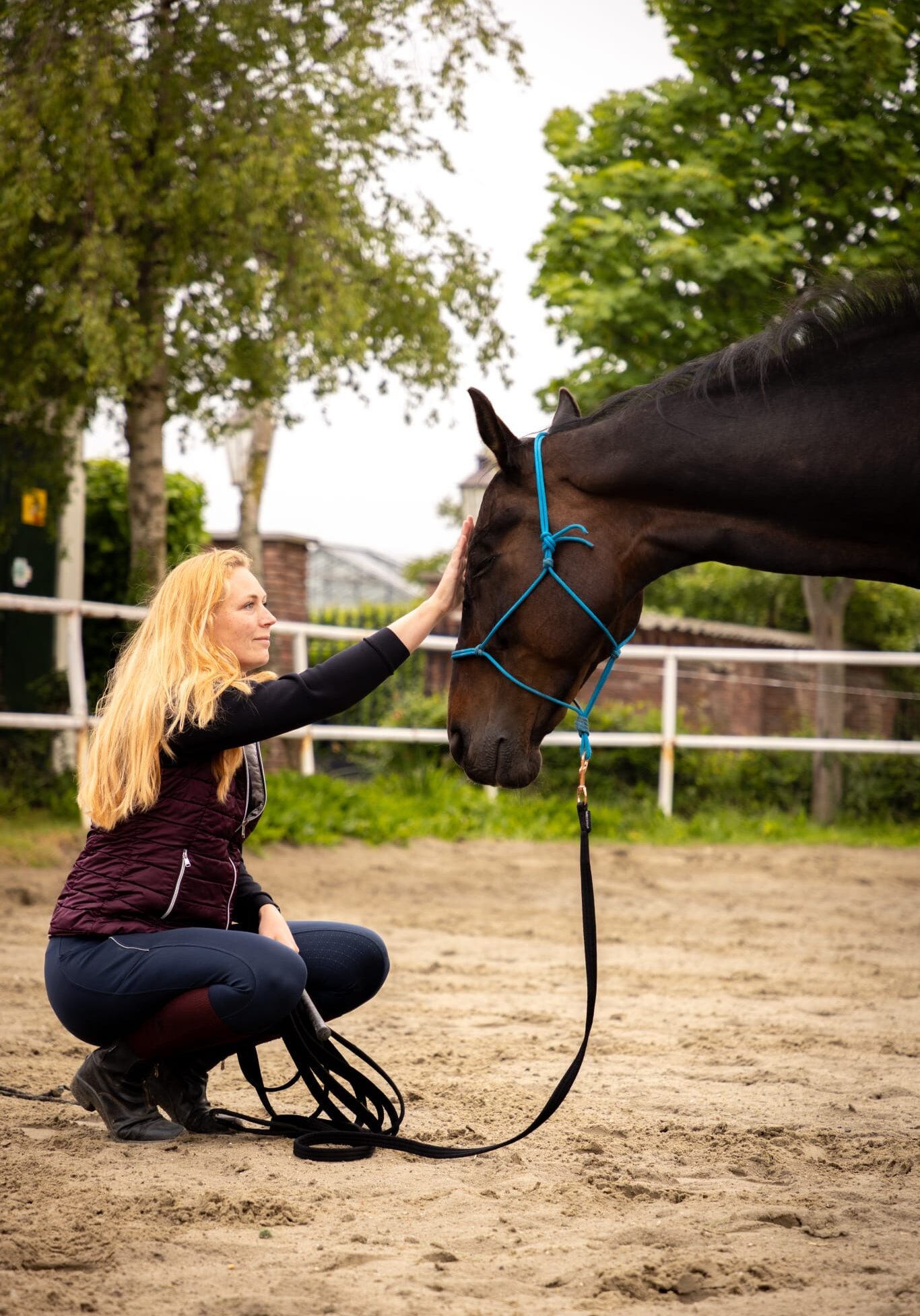 gratis paardencoaching