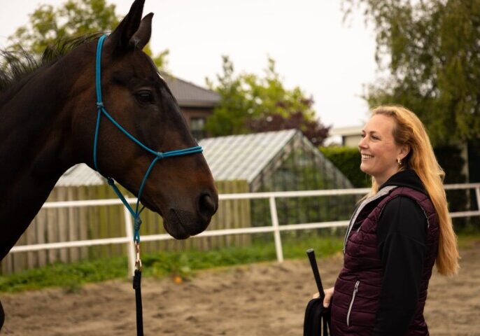 project pegasus paardencoaching voor ondernemers