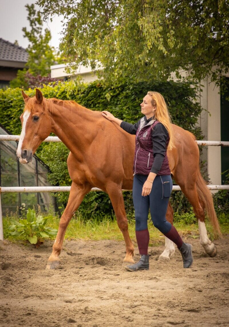 persoonlijk leiderschap ondernemer systemische coaching paarden familieopstellingen