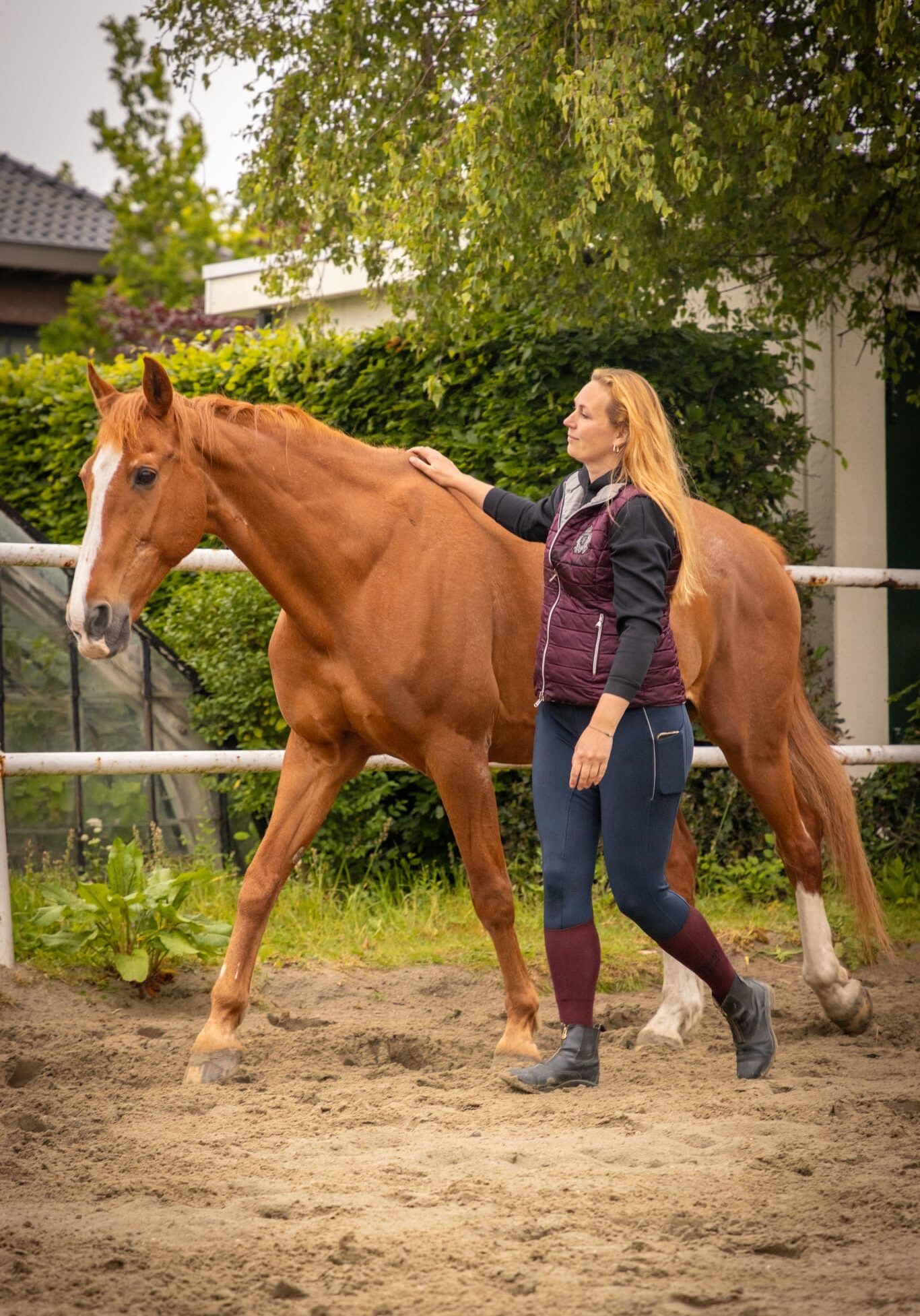 503bc9b9-40da-45da-8680-ded95a5af5a9