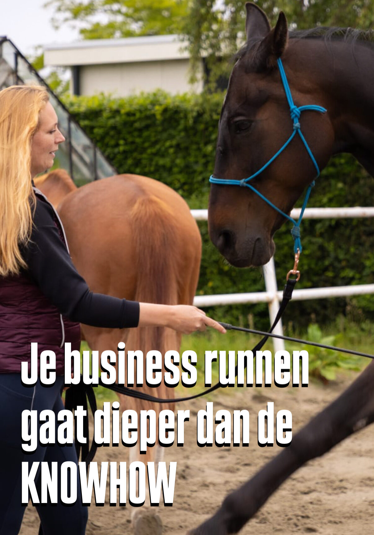 2025-ondernemers knowhow paardencoaching