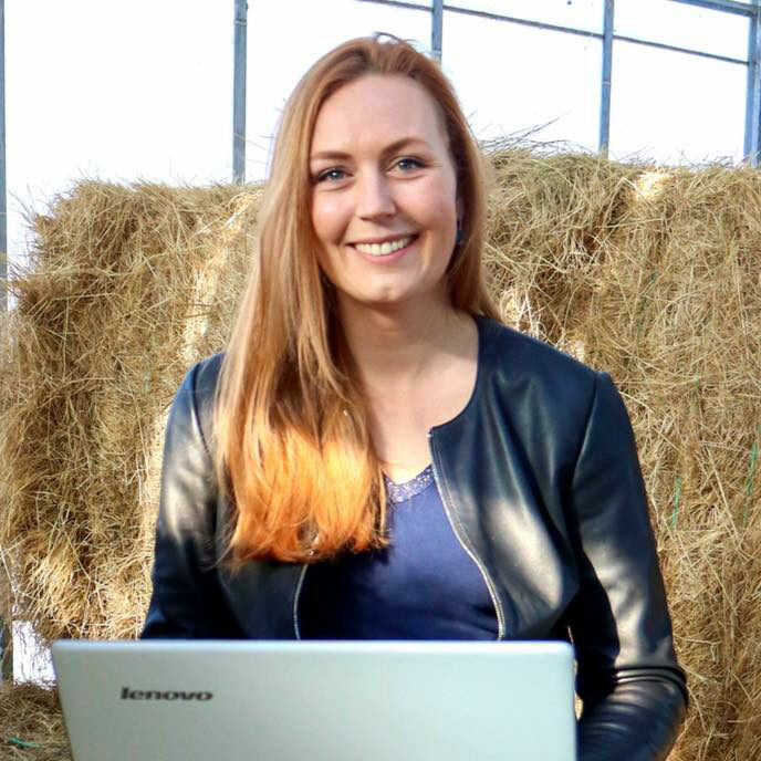 lindsy bruin coach voor online ondernemen